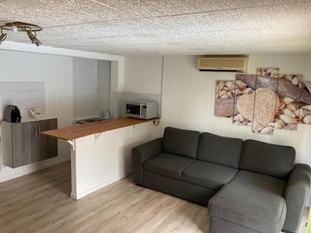 L'Appartement Du Micocoulier Salon-de-Provence Eksteriør billede