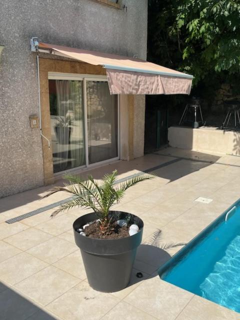 L'Appartement Du Micocoulier Salon-de-Provence Eksteriør billede